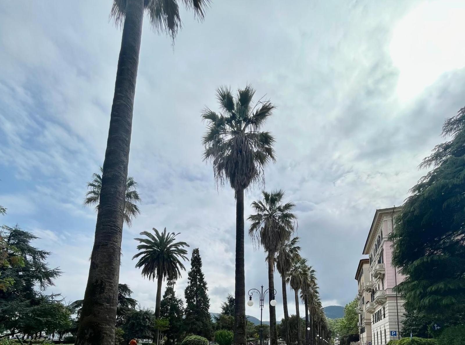 Breathe Liguria - Lucy 1 Bedroom And 1 Apartment In A Newly Renovated Nineteenth-Century Building In The Historic Center Near The Sea Ла-Спеція Екстер'єр фото